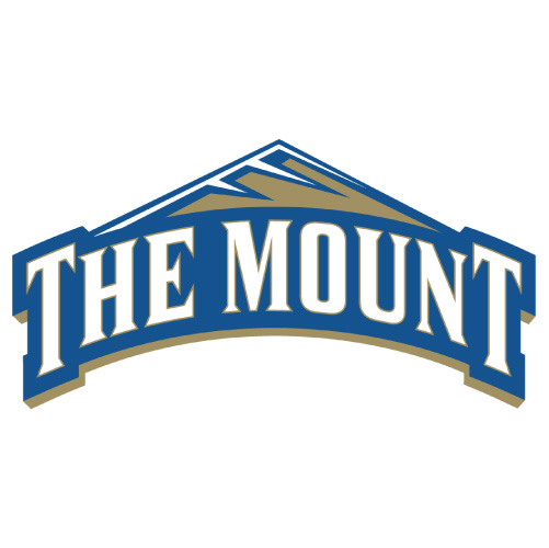 Mount St Marys Mountaineers Logo T-shirts Iron On Transfers N521